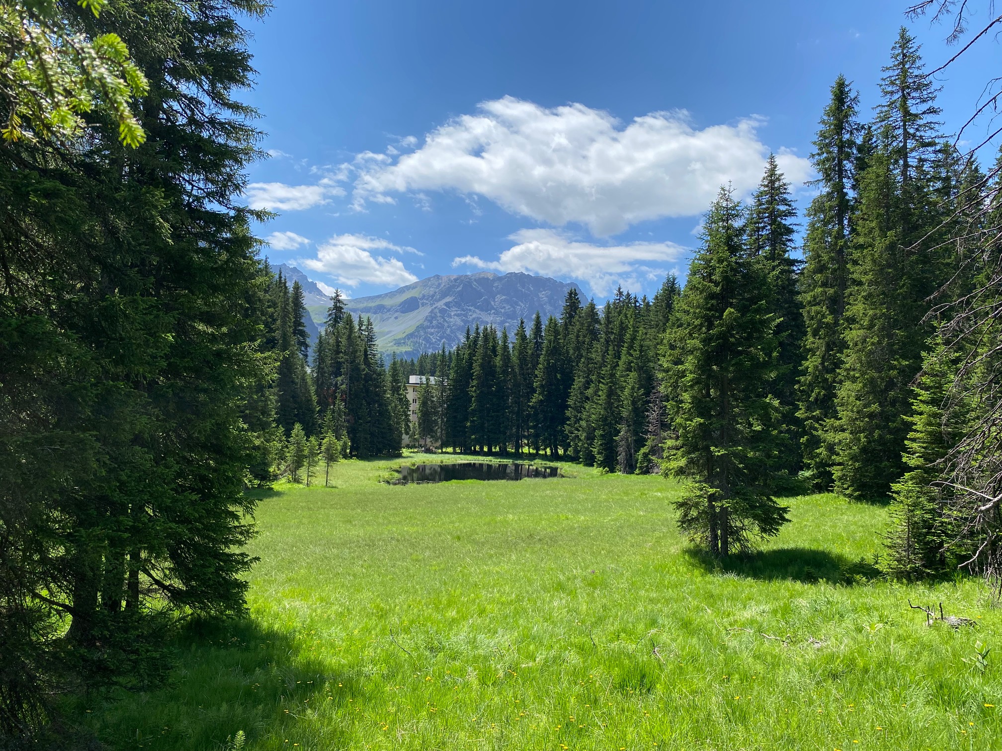 Blick zum Haus über die Schwarzsee-Wiese