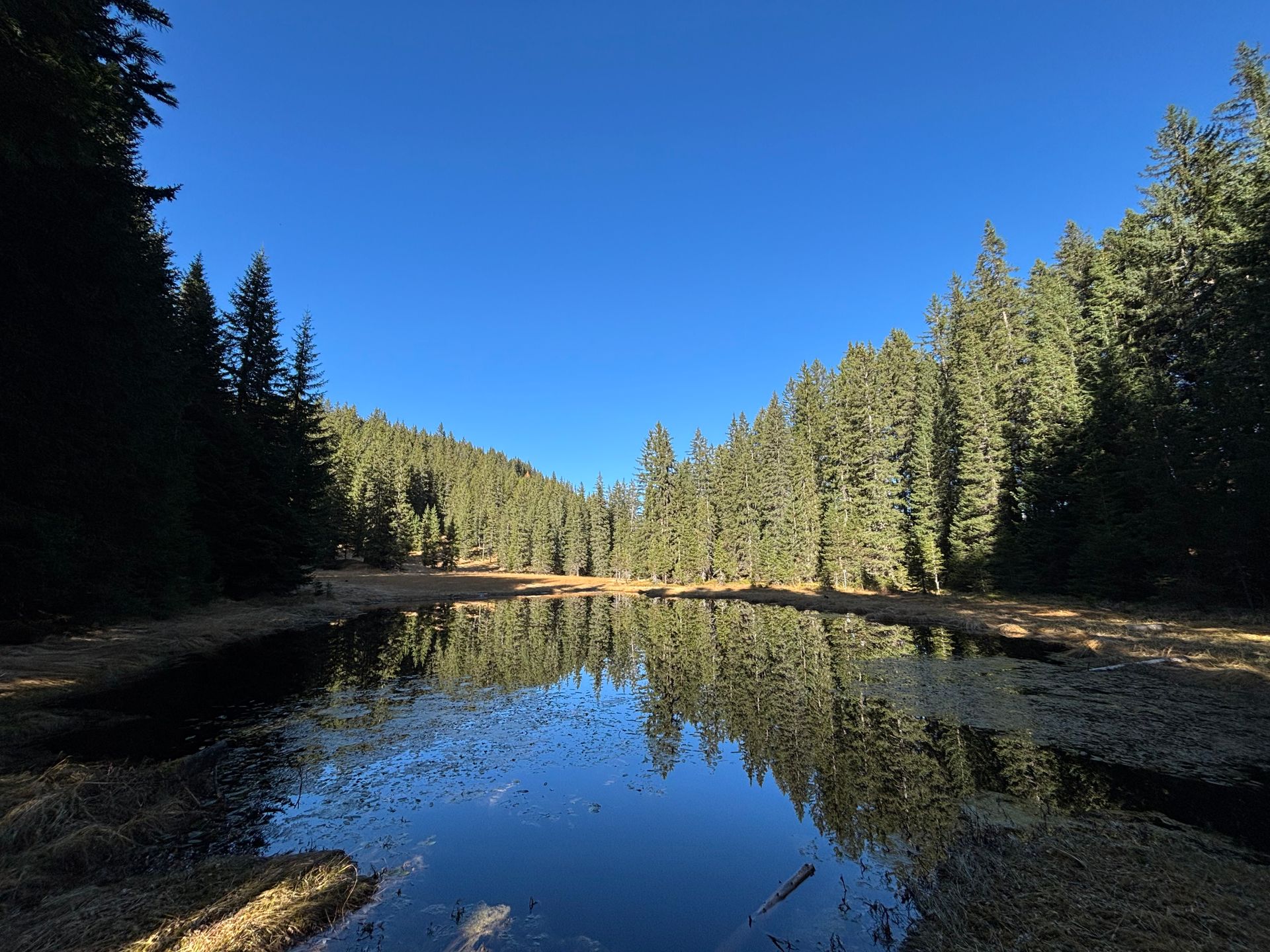 Schwarzsee — Naturschutzgebiet hinter dem Haus