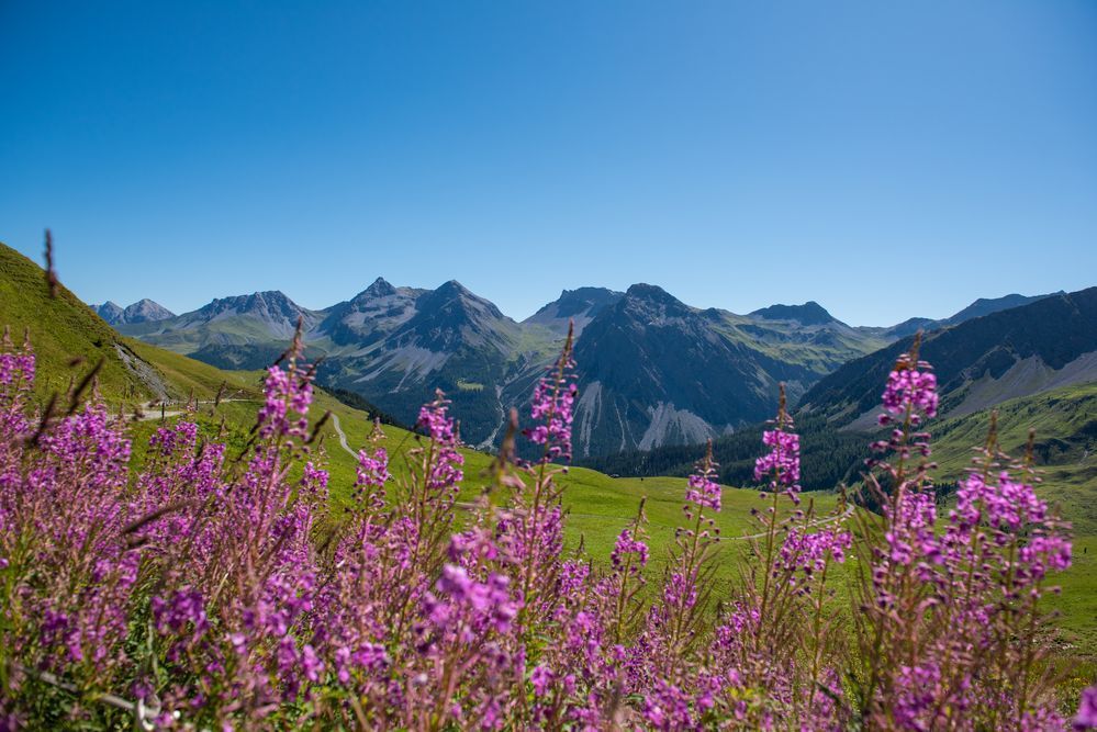 Bergsommer in Arosa