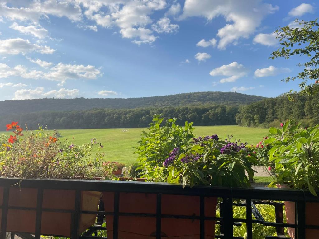 Ausblick von der Terrasse