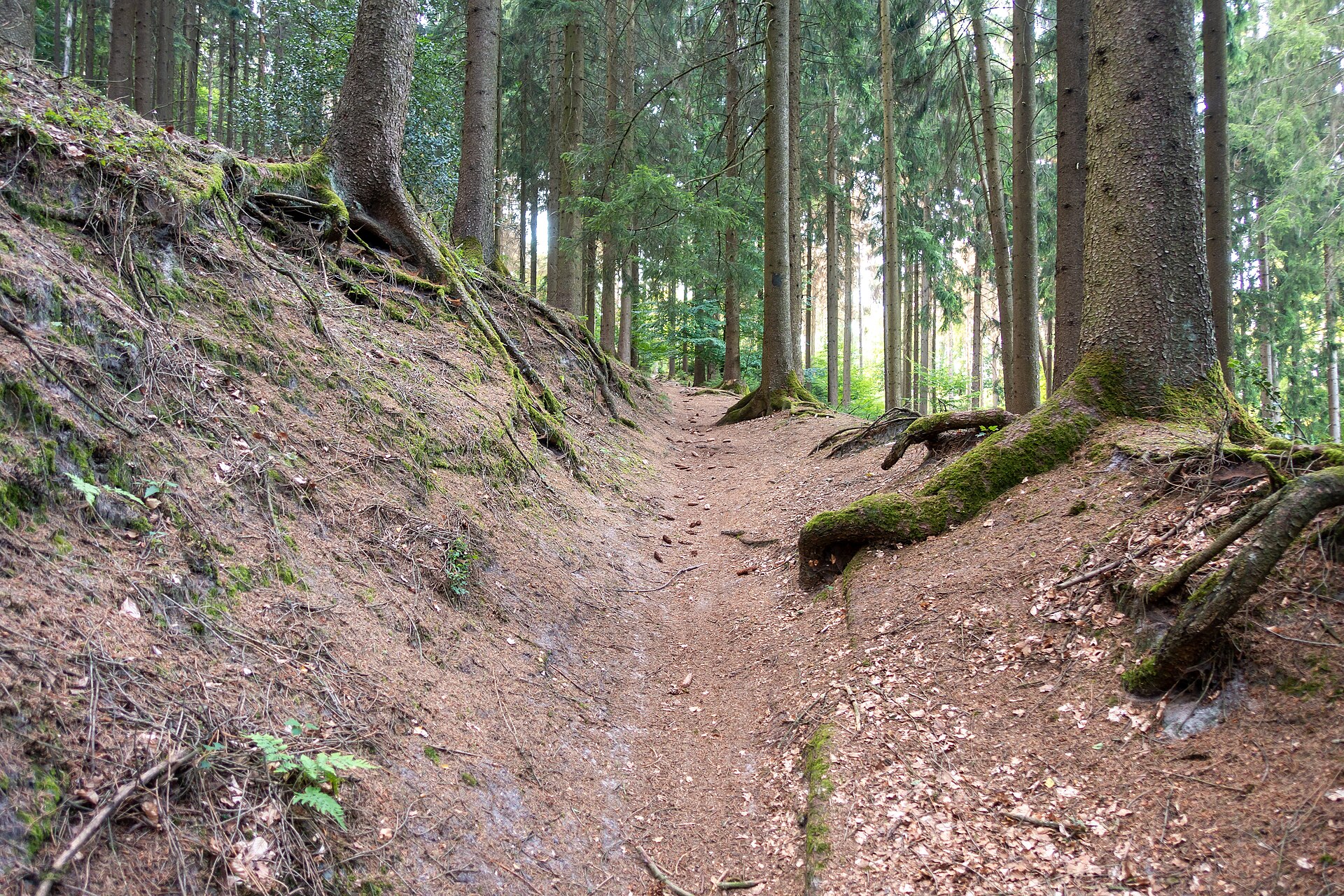Anreise