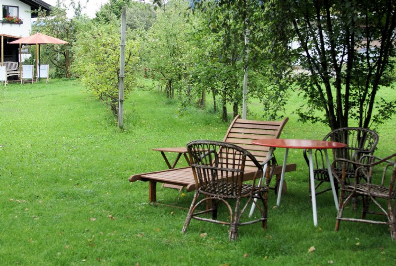 Giardino tra gli alberi