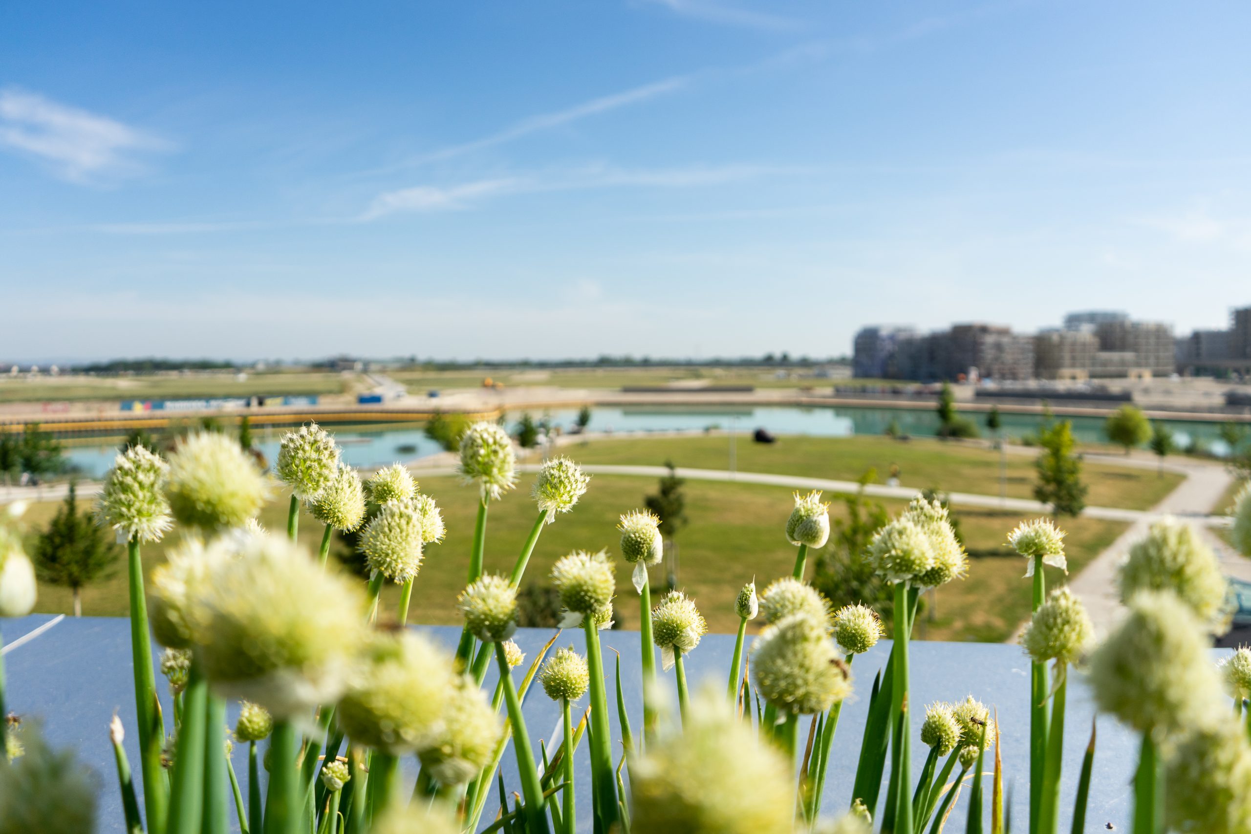 Seestadt Aspern
