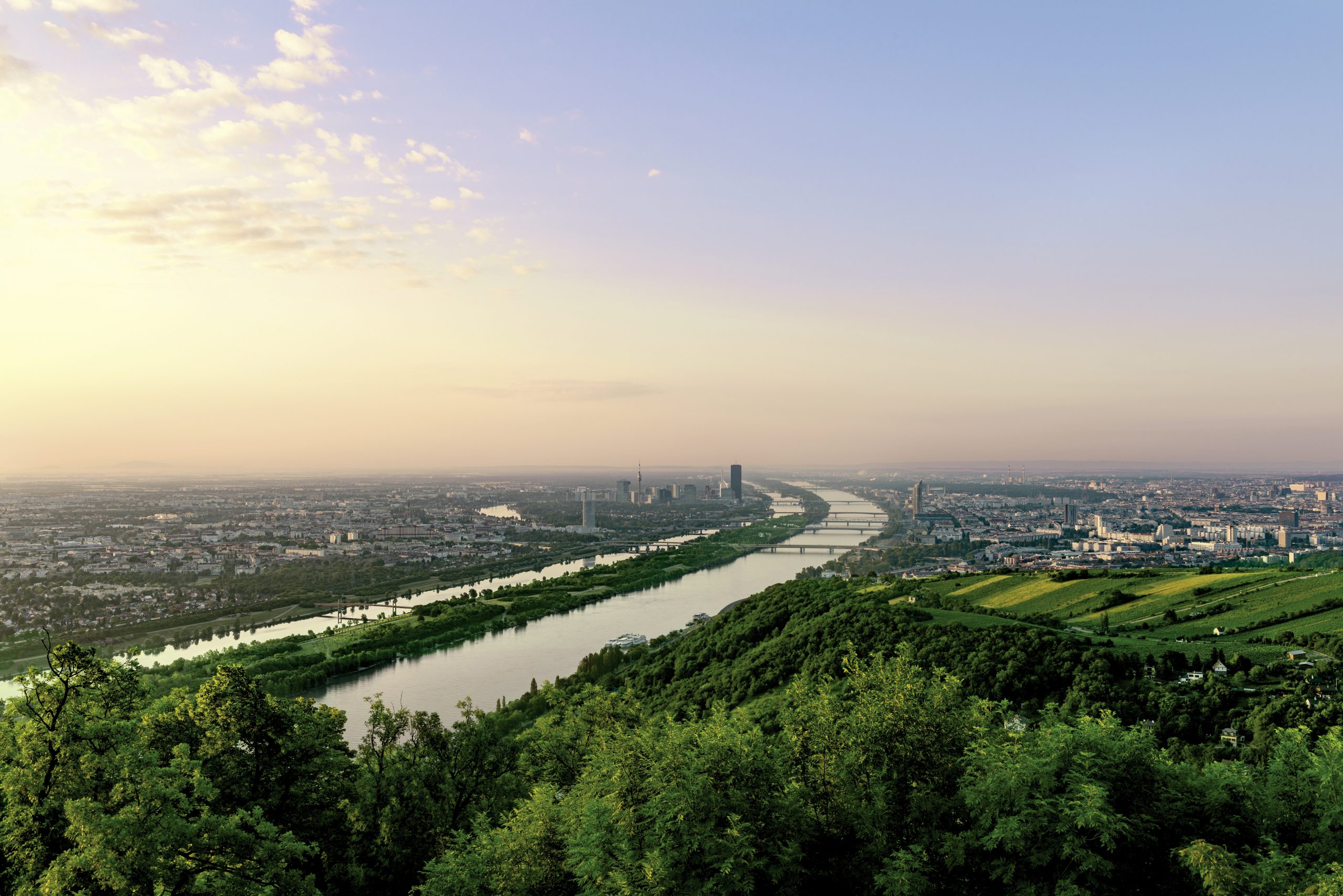 Blick vom Kahlenberg