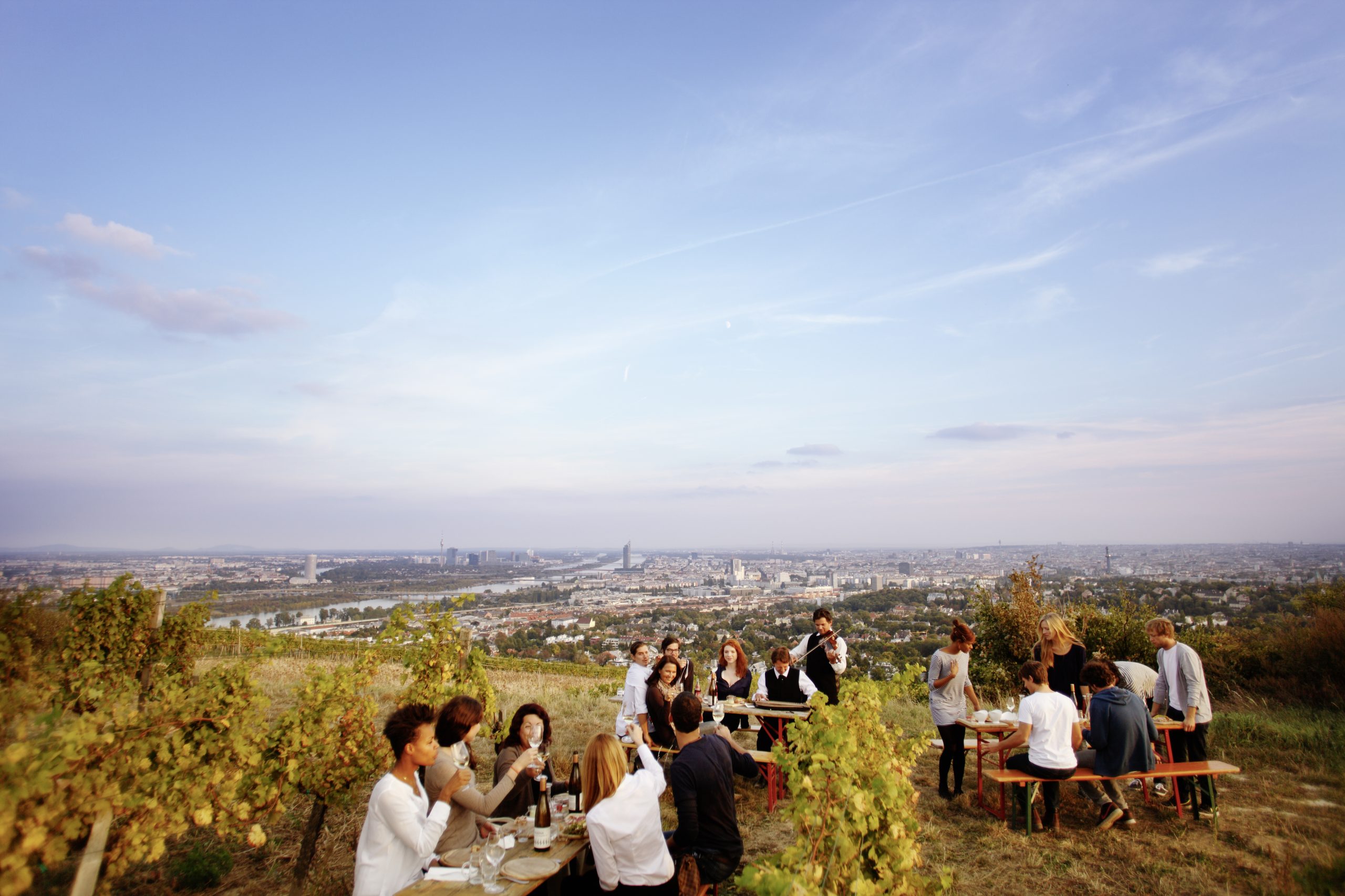 Heuriger über Wien