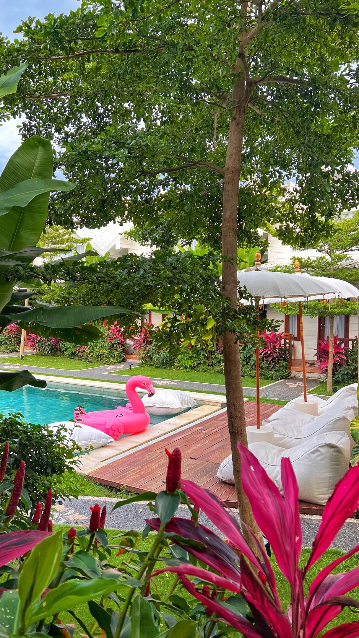 Tropical garden around the pool